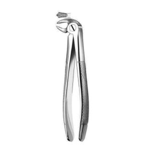 Forceps Dentales Profesionales en Acero Inoxidable